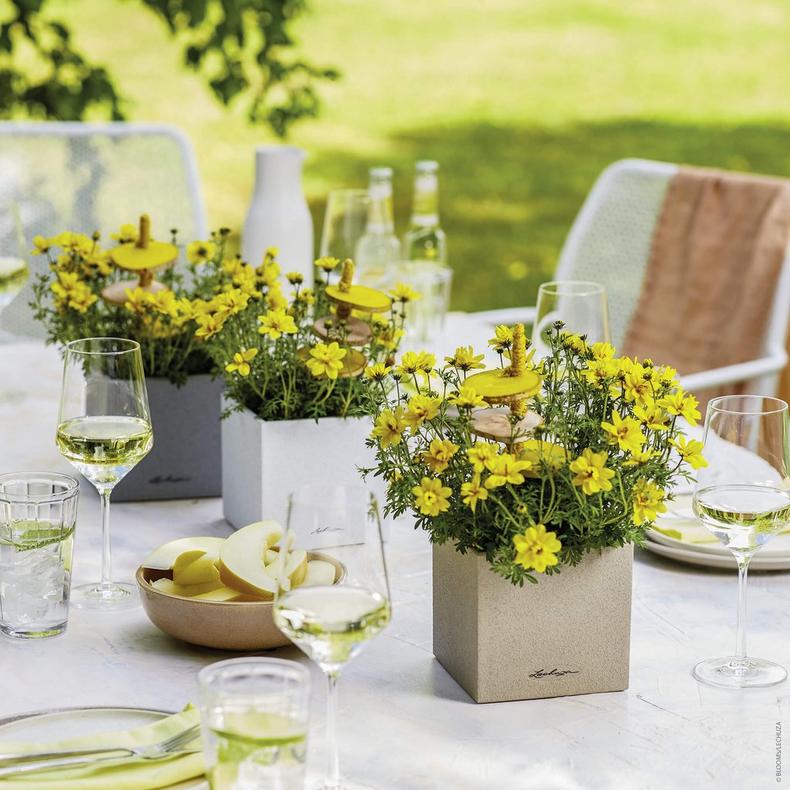 le_canto-stone-14_product_addi_06